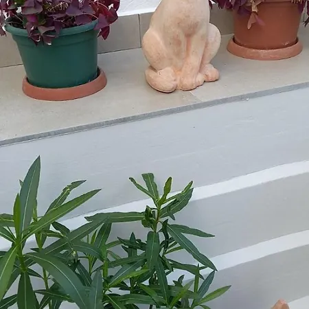 Διαμέρισμα Kekkut